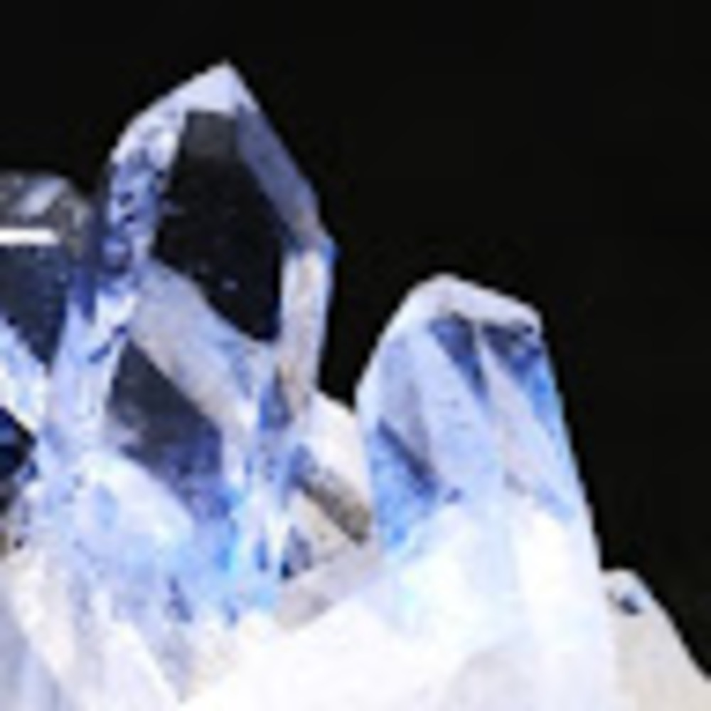 Meet your Posher, Crystal